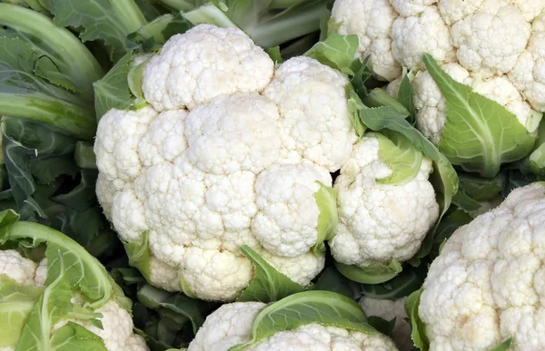 stock image Cauliflower