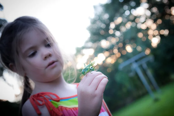 Grasshopper on the child's hand — Stock Photo, Image