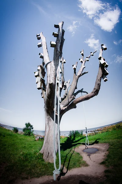 stock image Tree with stalls for the birds