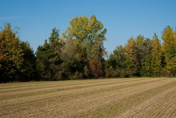 stock image Rural landscape of the Veneto, Italy