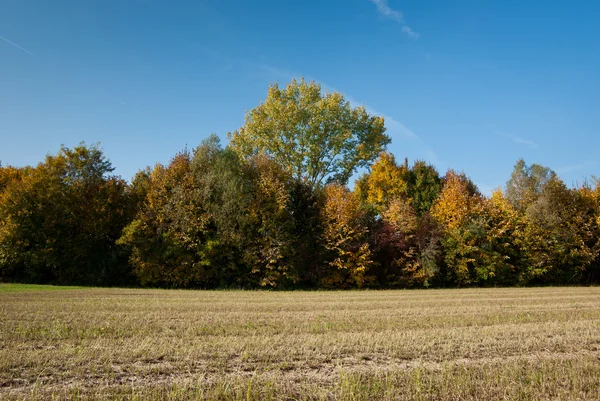 stock image Rural landscape of the Veneto, Italy