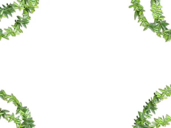 stock image Frame of vegetation