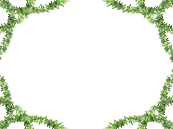 stock image Frame of vegetation