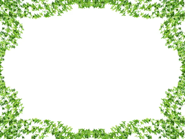 stock image Frame of vegetation