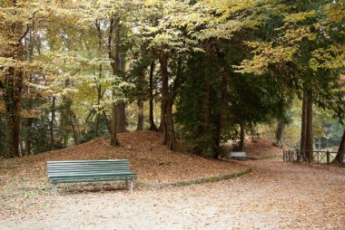 Park with a trees