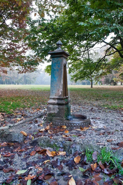 Park with a fountain — Stock Photo, Image
