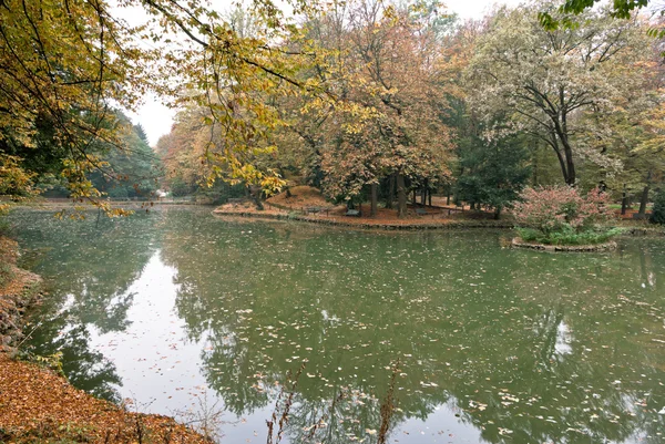 Parque con un estanque —  Fotos de Stock