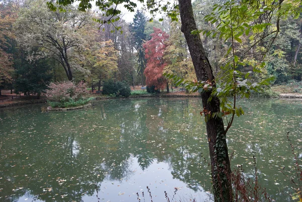 Parque com uma lagoa — Fotografia de Stock