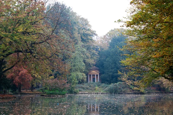 Parque con un estanque — Foto de Stock