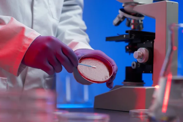 Ученый, проводящий генетические исследования образца крови в лабораторном селективном фокусе — стоковое фото