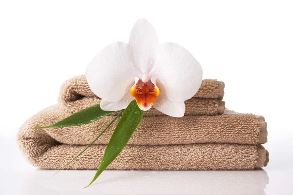 Close up of towel and orchid — Stock Photo, Image