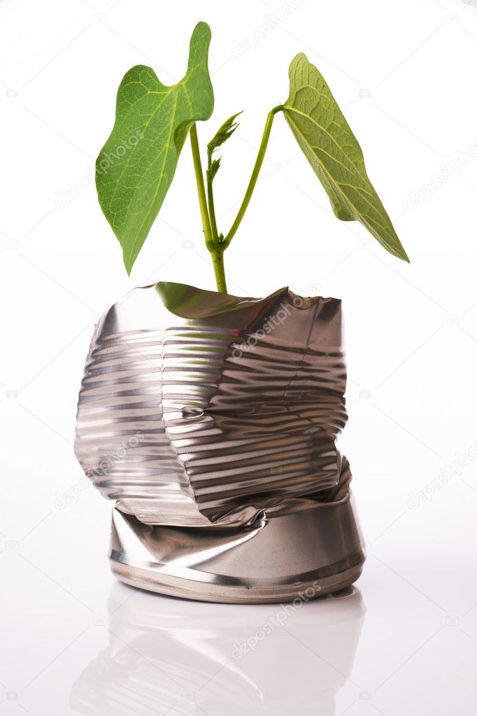Green recycling concept plant growing out of tin can