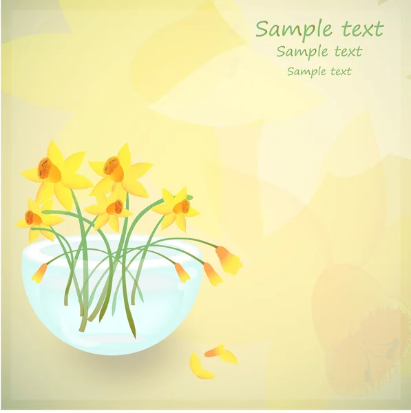 Flowers daffodils — Stock Vector