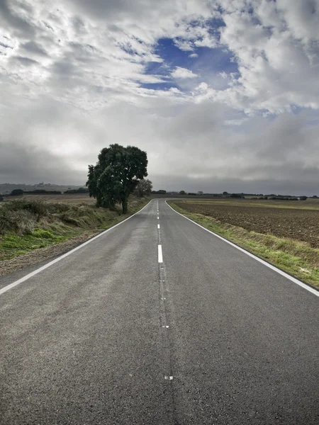 Одинокая дорога — стоковое фото