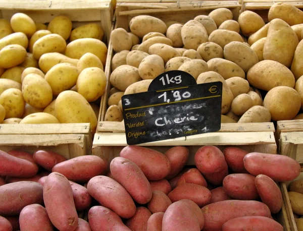 Färgade potatis — Stockfoto