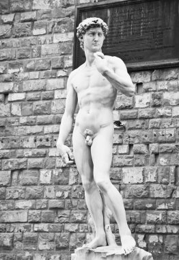 Michelangelo'nun david kopyası