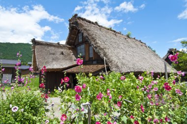 shirakawago, Japonya