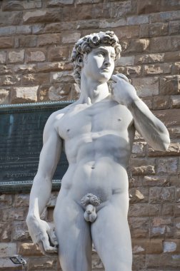 Michelangelo'nun david kopyası