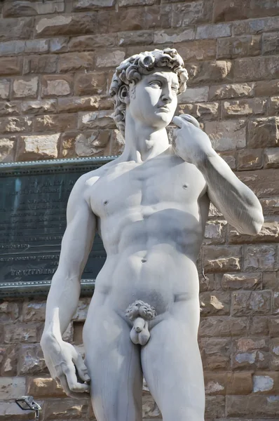 stock image Replica of Michelangelo's David