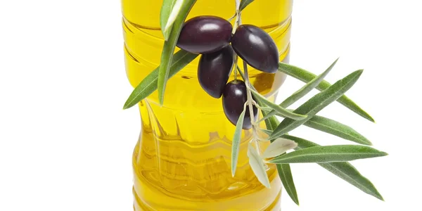 Olej a olivy — Stock fotografie