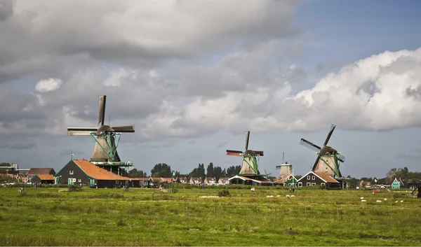 stock image Windmill