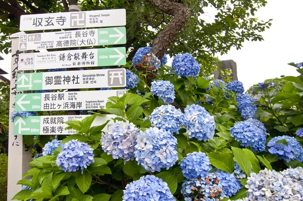 stock image Advertising signs in Japan