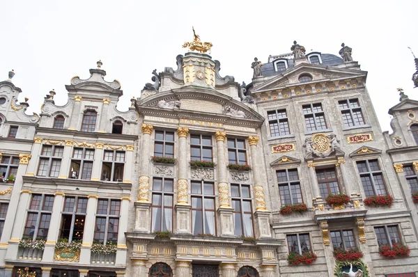 Byggnad Maison des Brasseurs, Bryssel — Stockfoto