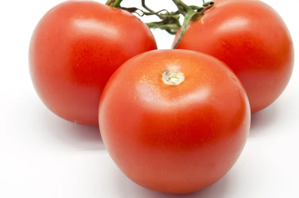 Tomater - Stock-foto