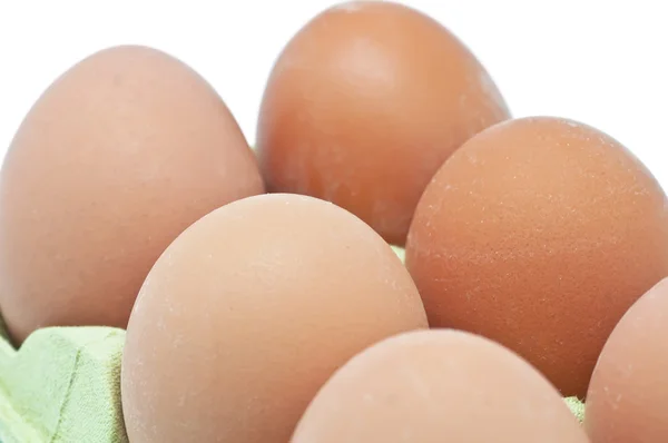 Eieren op witte achtergrond — Stockfoto