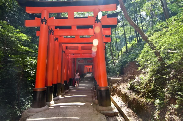 Fushimi Inari Abelar-Kyoto, Japán — Stock Fotó
