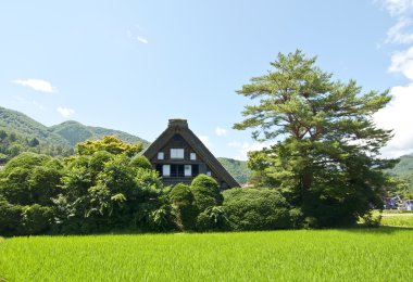 shirakawago, Japonya