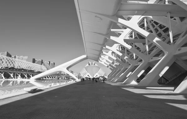 City of Arts and Sciences.Black & white photography — Stock Photo, Image