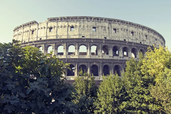 Colosseum, Řím — Stock fotografie