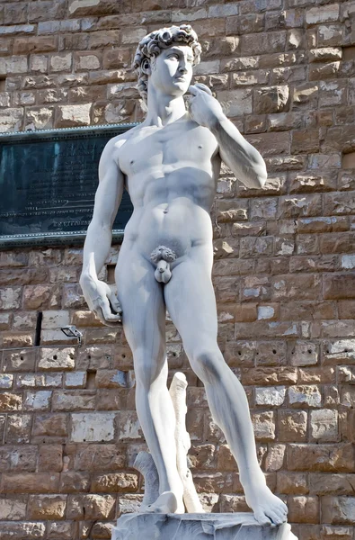 stock image Replica of Michelangelo's David