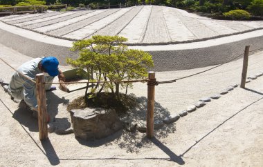 Japon bahçıvan