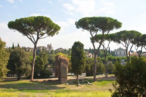 Landschaft des römischen Forums — Stockfoto