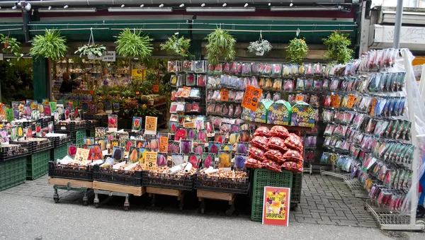 Winkel voor bloemen en planten — Stockfoto