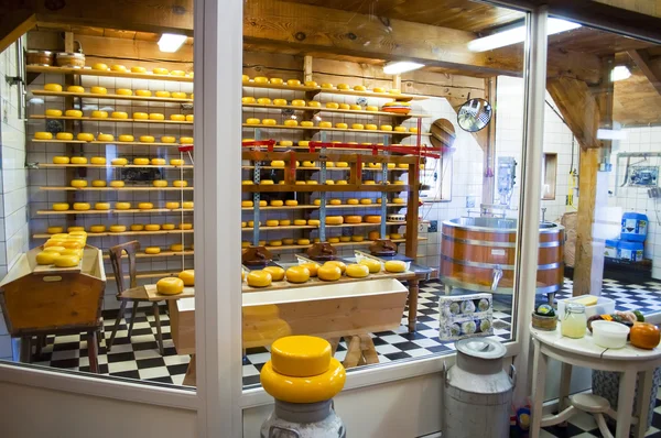 Fabbrica di formaggio — Foto Stock