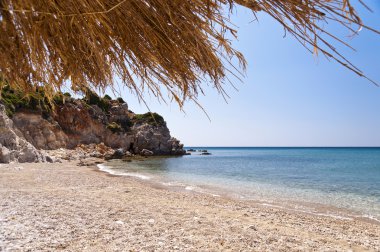 Beach on Samos clipart