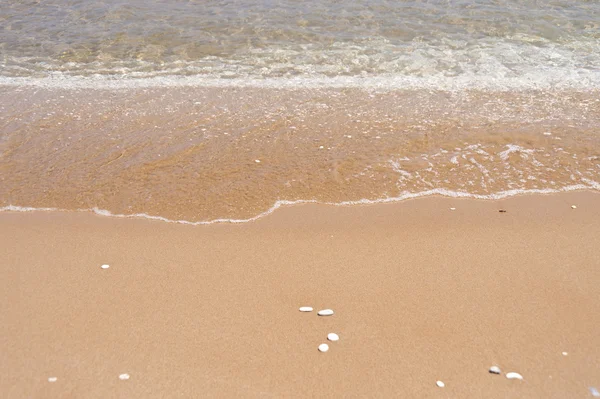 Beach on Samos — Stock Photo, Image