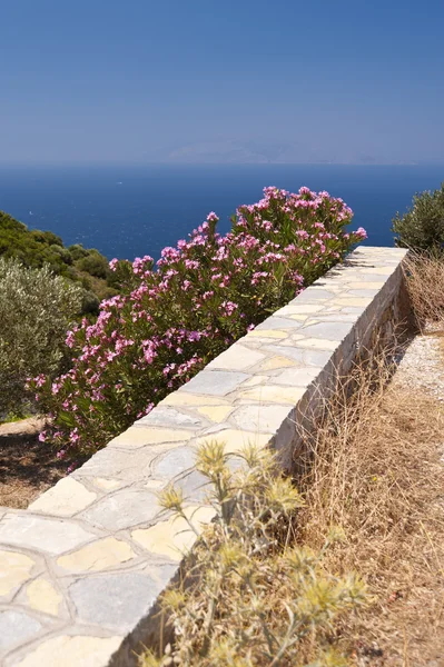 Landscape on Samos — Stock Photo, Image