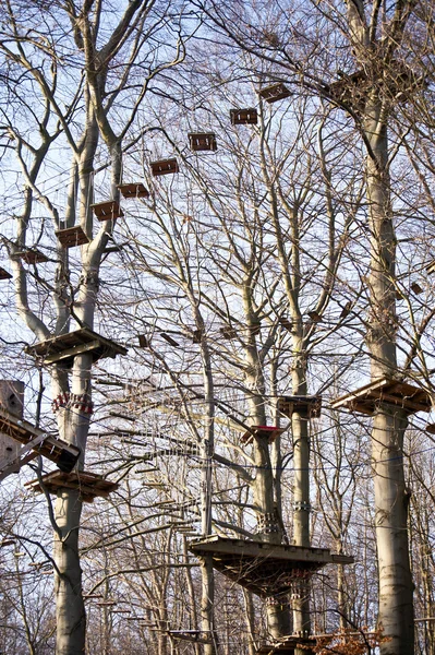 stock image High ropes course