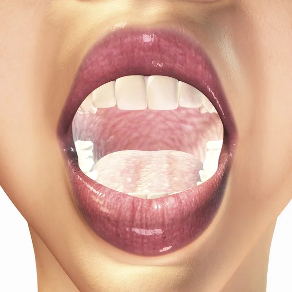 Στόμα — Φωτογραφία Αρχείου