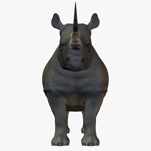 Ρινόκερος — Φωτογραφία Αρχείου