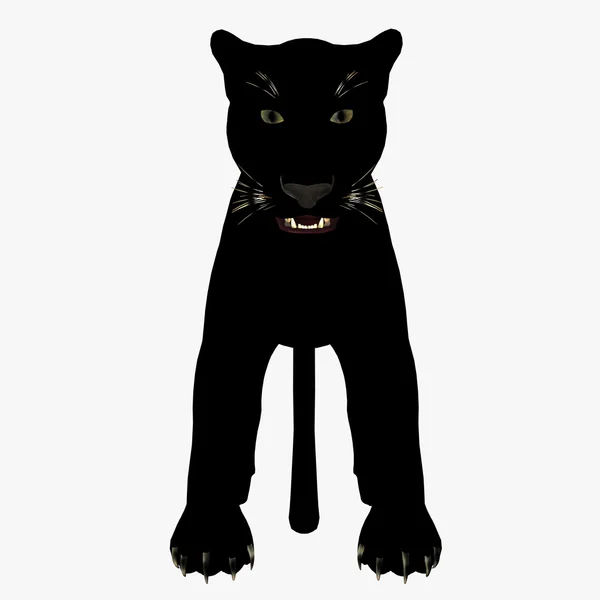 stock image Panther