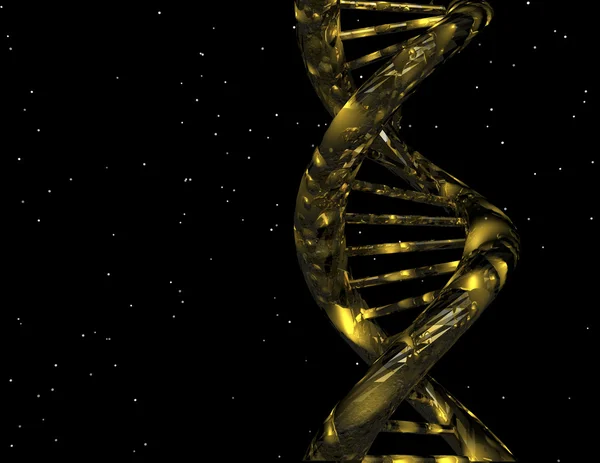 Visualisation numérique de l'ADN — Photo