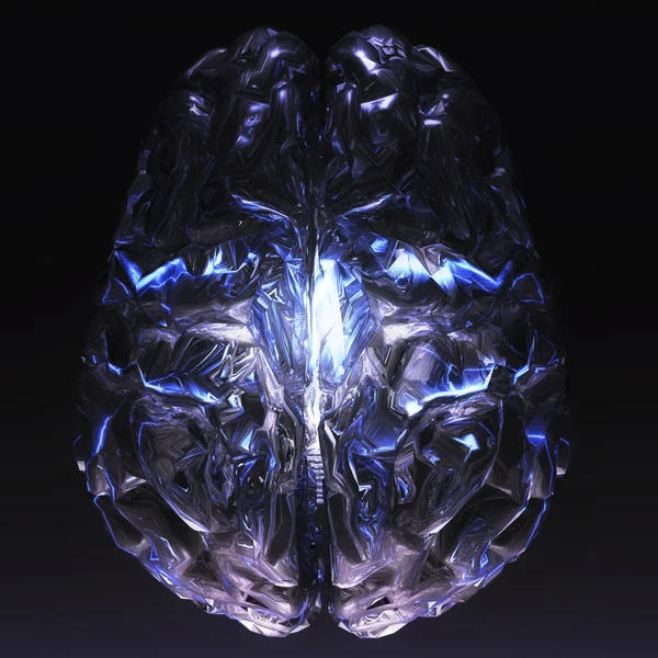 Hjärna — Stockfoto