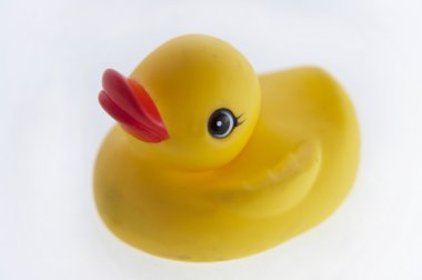 Rubber duck clipart