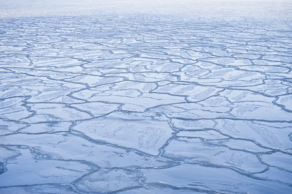 Ледяная зима — стоковое фото
