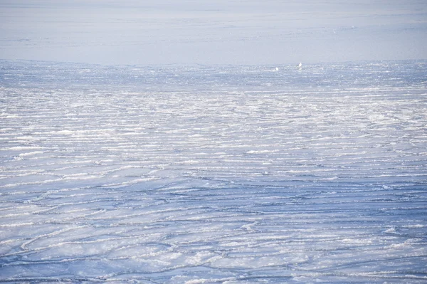 Icy winter — Stock Photo, Image